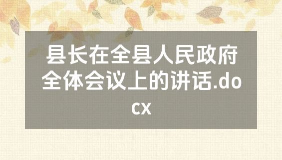 县长在全县人民政府全体会议上的讲话.docx