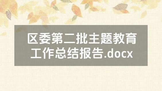 区委第二批主题教育工作总结报告.docx