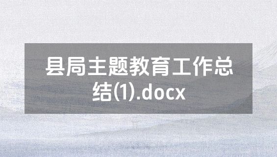 县局主题教育工作总结(1).docx