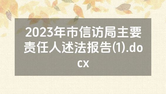 2023年市信访局主要责任人述法报告(1).docx