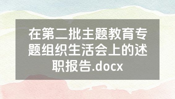 在第二批主题教育专题组织生活会上的述职报告.docx