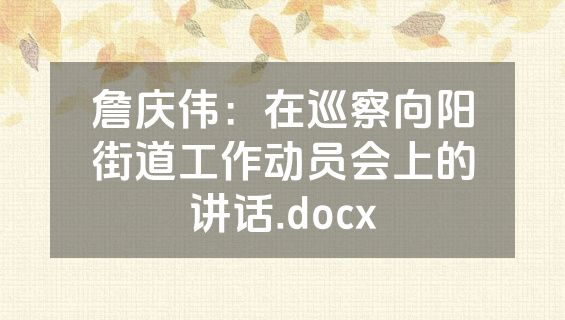 詹庆伟：在巡察向阳街道工作动员会上的讲话.docx
