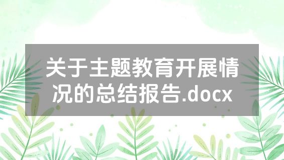 关于主题教育开展情况的总结报告.docx