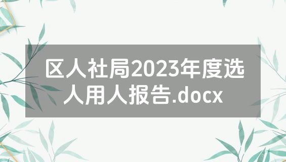 区人社局2023年度选人用人报告.docx