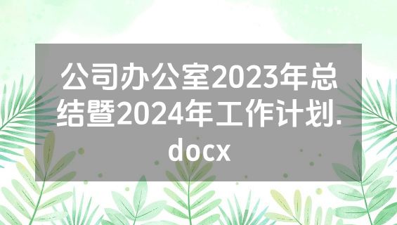 公司办公室2023年总结暨2024年工作计划.docx