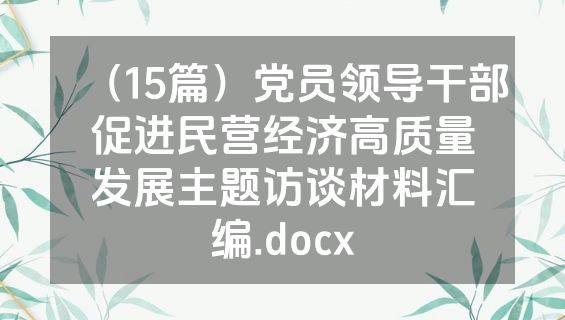 （15篇）党员领导干部促进民营经济高质量发展主题访谈材料汇编.docx