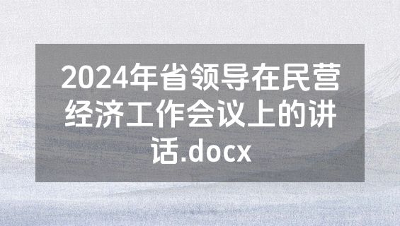 2024年省领导在民营经济工作会议上的讲话.docx
