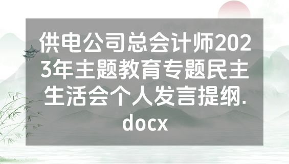 供电公司总会计师2023年主题教育专题民主生活会个人发言提纲.docx