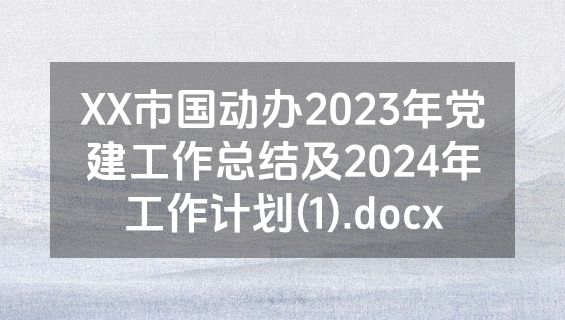 XX市国动办2023年党建工作总结及2024年工作计划(1).docx