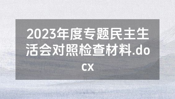 2023年度专题民主生活会对照检查材料.docx