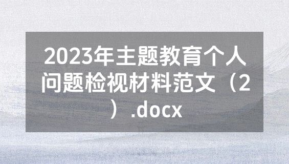 2023年主题教育个人问题检视材料范文（2）.docx