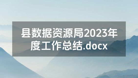 县数据资源局2023年度工作总结.docx