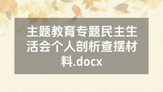 主题教育专题民主生活会个人剖析查摆材料.docx
