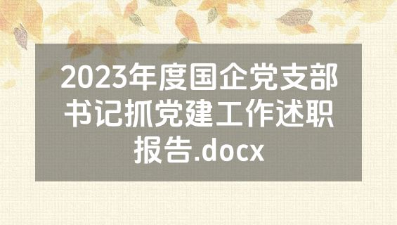 2023年度国企党支部书记抓党建工作述职报告.docx