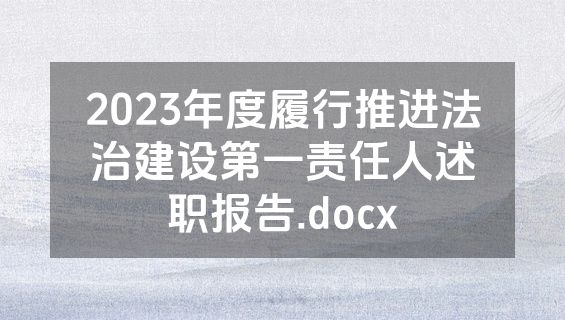 2023年度履行推进法治建设第一责任人述职报告.docx