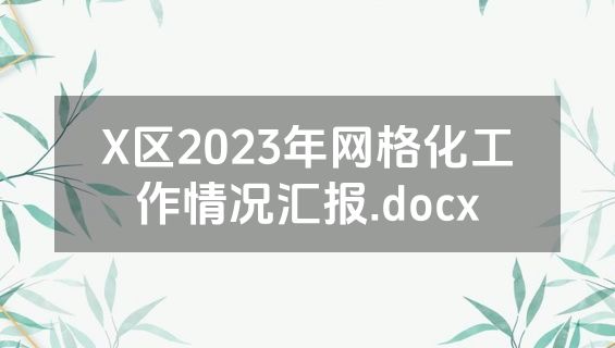 X区2023年网格化工作情况汇报.docx