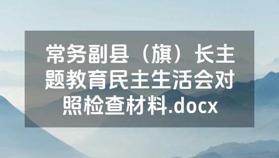常务副县（旗）长主题教育民主生活会对照检查材料.docx