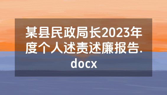 某县民政局长2023年度个人述责述廉报告.docx