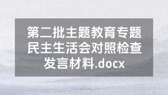第二批主题教育专题民主生活会对照检查发言材料.docx