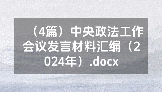 （4篇）中央政法工作会议发言材料汇编（2024年）.docx