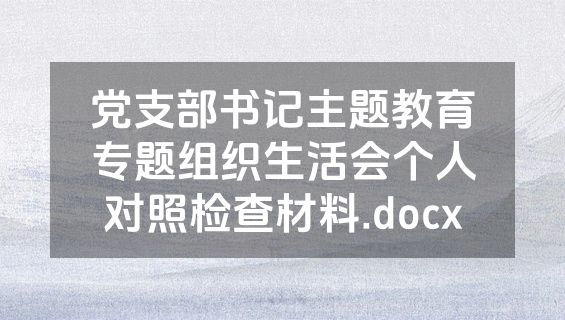 党支部书记主题教育专题组织生活会个人对照检查材料.docx