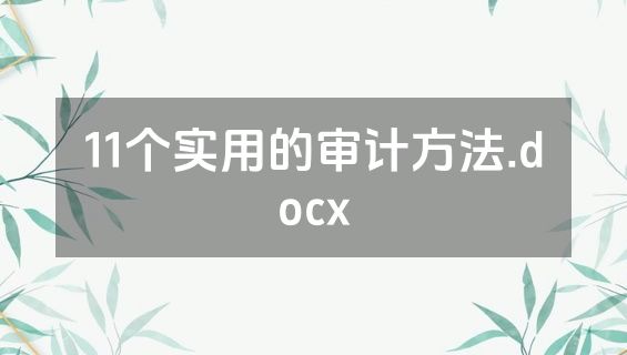11个实用的审计方法.docx