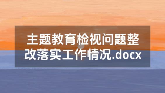 主题教育检视问题整改落实工作情况.docx