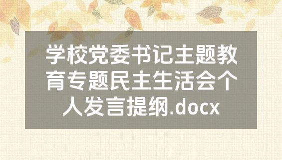 学校党委书记主题教育专题民主生活会个人发言提纲.docx