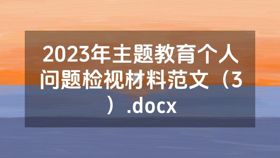 2023年主题教育个人问题检视材料范文（3）.docx