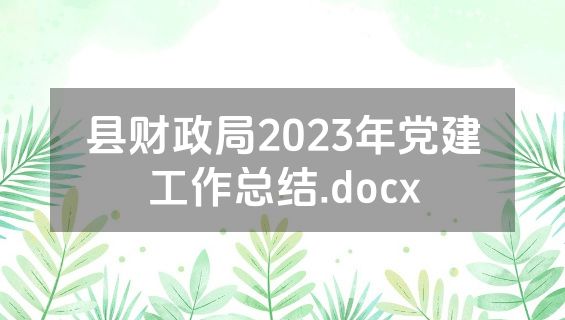 县财政局2023年党建工作总结.docx