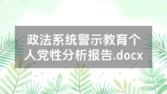 政法系统警示教育个人党性分析报告.docx