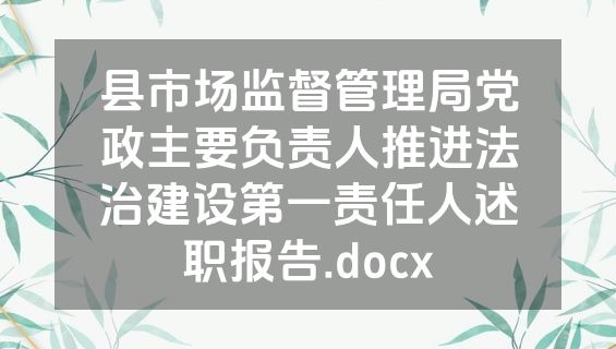 县市场监督管理局党政主要负责人推进法治建设第一责任人述职报告.docx