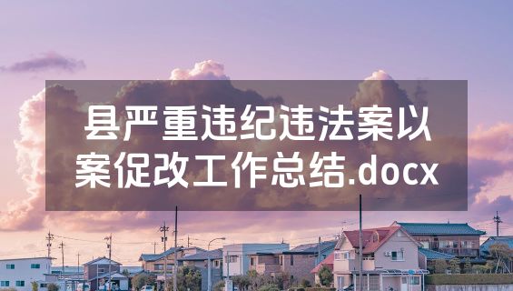 县严重违纪违法案以案促改工作总结.docx