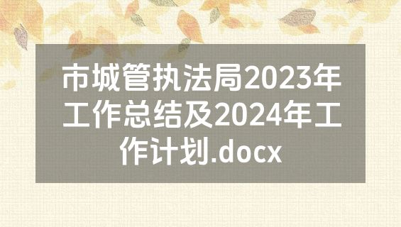市城管执法局2023年工作总结及2024年工作计划.docx