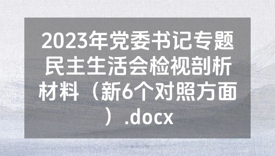 2023年党委书记专题民主生活会检视剖析材料（新6个对照方面）.docx