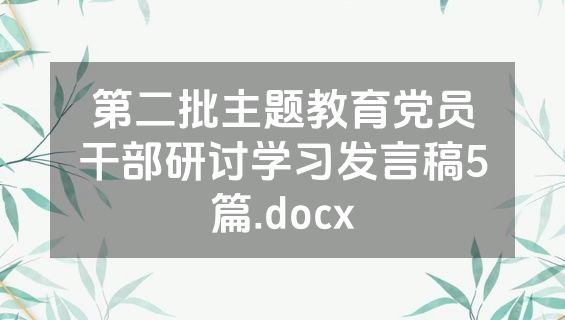 第二批主题教育党员干部研讨学习发言稿5篇.docx
