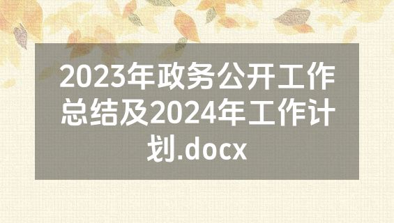 2023年政务公开工作总结及2024年工作计划.docx