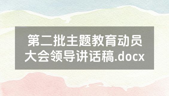 第二批主题教育动员大会领导讲话稿.docx
