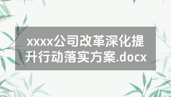 xxxx公司改革深化提升行动落实方案.docx