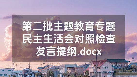 第二批主题教育专题民主生活会对照检查发言提纲.docx