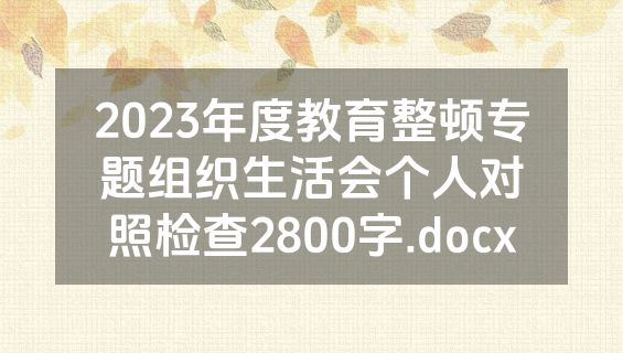 2023年度教育整顿专题组织生活会个人对照检查2800字.docx