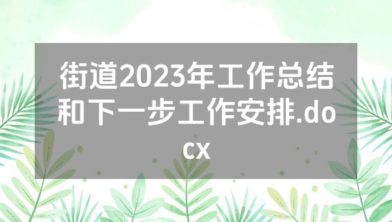 街道2023年工作总结和下一步工作安排.docx