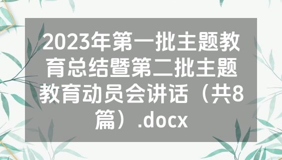 2023年第一批主题教育总结暨第二批主题教育动员会讲话（共8篇）.docx