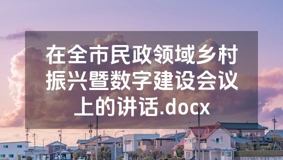 在全市民政领域乡村振兴暨数字建设会议上的讲话.docx