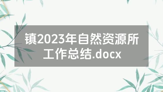 镇2023年自然资源所工作总结.docx