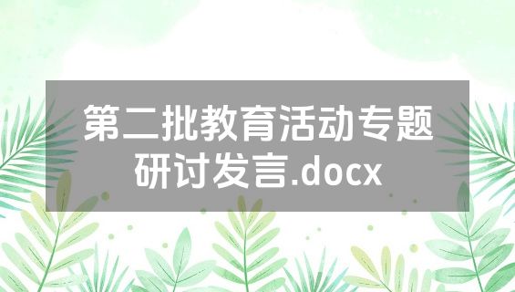 第二批教育活动专题研讨发言.docx