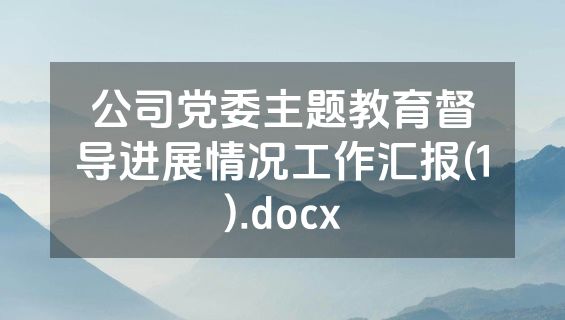 公司党委主题教育督导进展情况工作汇报(1).docx