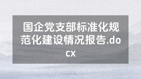 国企党支部标准化规范化建设情况报告.docx