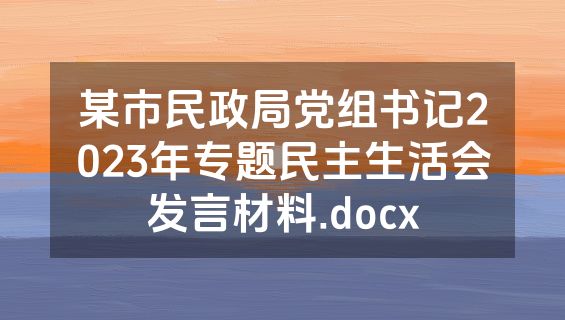 某市民政局党组书记2023年专题民主生活会发言材料.docx