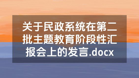 关于民政系统在第二批主题教育阶段性汇报会上的发言.docx